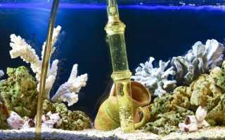 Разберемся раз и навсегда как правильно в аквариуме сифонить грунт