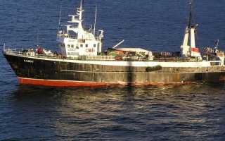 Экологические ситуации японского моря