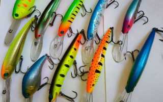 Лучшие троллинговые воблеры и как сделать правильный выбор
