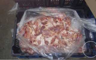 Как разводить опарышей