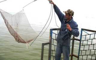 Паук-подъемник: как сделать и ловить рыбу на паука. Пошаговая инструкция по ловле для начинающих (105 фото + видео)