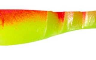 Мягкие спиннинговые приманки: популярные формы и их особенности