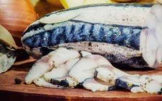 Рыба «Таймень» фото и описание