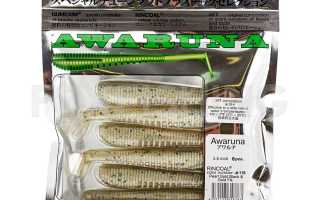 Pontoon 21 Awaruna: Обзор и особенности модели