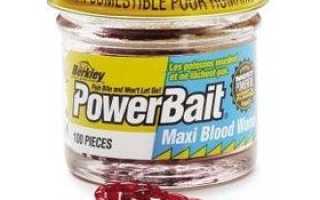 Berkley Maxi Blood Worm для рыбалки и активного отдыха