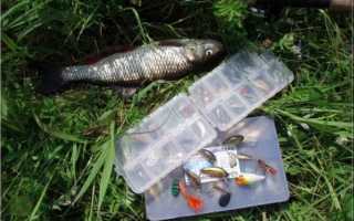 Неогруженные вертушки или вращающиеся блесны с отдельным грузилом