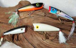 Осваиваем рыбалку на поппер