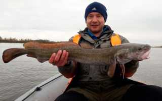 Рыбалка в Томске