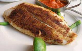 Рыба групер