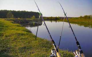 Ловля судака на донку