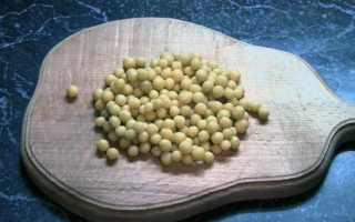 Особенности и рецепты приготовления манки для рыбалки