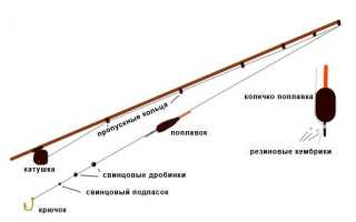 Ловля карпа на поплавочную удочку