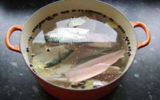 Тузлук для засолки рыбы