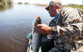 Рыбалка в Могилеве и Могилевской области