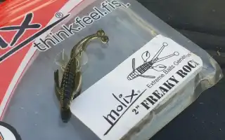 Molix Freaky Rock для успешной рыбалки