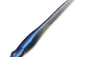 Megabass Honjikomi Hazedong для успешной рыбалки