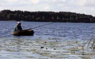 Троллинговая рыбалка: снасти и советы по ловле щуки