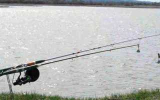 Ловля сома в Украине