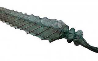 Как и на что правильно ловить раков в раколовки?