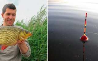 Ловля краснопёрки зимой