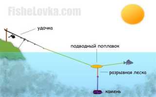 Как ловить сома на подводный поплавок