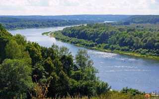 Рыбалка в Оренбургской области: лучшие места на карте ТОП-10