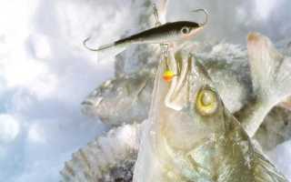 Рейтинг балансиров на окуня