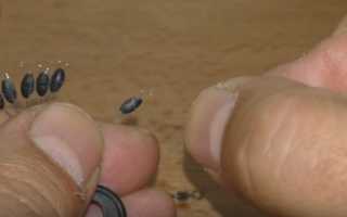 Как ловить рыбу на балду