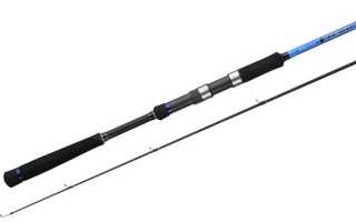 Спиннинг Graphiteleader