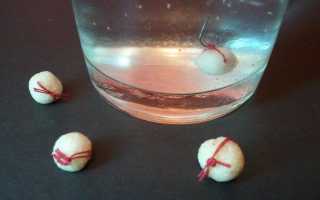 Прикормка для язя – зависимость состава прикормочных смесей от времени ловли