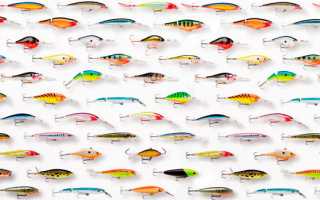 Как выбрать воблер для рыболова-новичка: советы и рекомендации