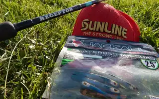 Съедобка от Jackall для успешной рыбалки