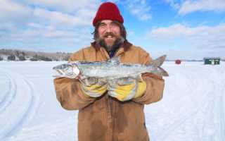 Рыбалка в декабре: какую рыбу ловить и где ее искать