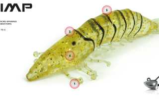 Molix Shrimp для успешной рыбалки