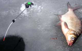 Лучшие уловистые мормышки на плотву мормышки для зимней рыбалки как ловить зимой