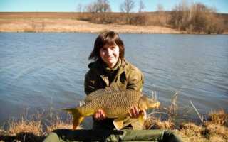 Снасти для ловли карпа своими руками