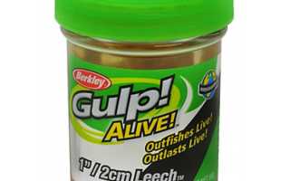 Berkley Gulp Alive Leech для успешной рыбалки