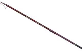 Техника ловли болонской удочкой