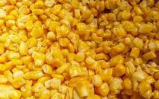 Правила и варианты приготовления ферментированной кукурузы для рыбалки
