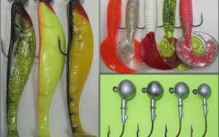 Ловля судака осенью – подходящие снасти и приманки