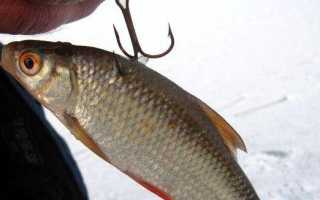 Оснастка при ловле щуки на поплавок с живцом — как произвести монтаж