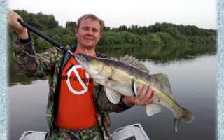 Весенняя рыбалка в Астрахани