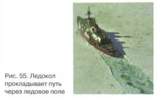 Части мирового океана это 5 класс