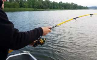 Ловля сома на квок