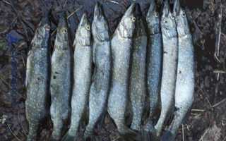 Катушка для троллинга