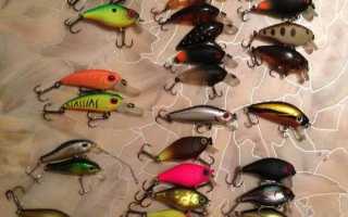 Ловля голавля летом: особенности поведения и способы ужения