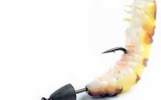 Molix Caimano Worm для рыбалки и активного отдыха