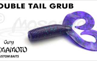 Gary Yamamoto Grub для успешной рыбалки