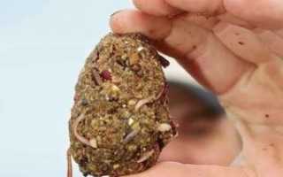 Прикормка для ловли линя