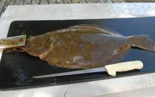 Разделка камбалы: советы и хитрости